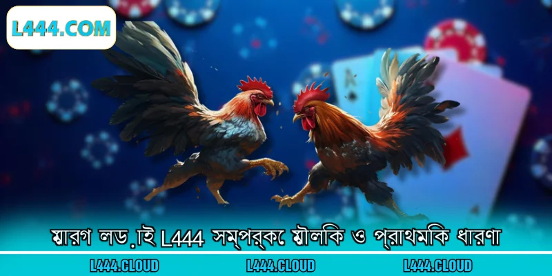 মোরগ লড়াই L444 সম্পর্কে মৌলিক ও প্রাথমিক ধারণা