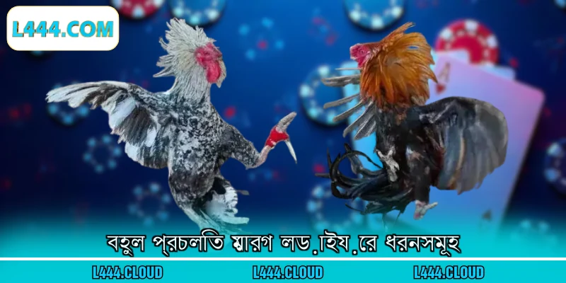 বহুল প্রচলিত মোরগ লড়াইয়ের ধরনসমূহ 